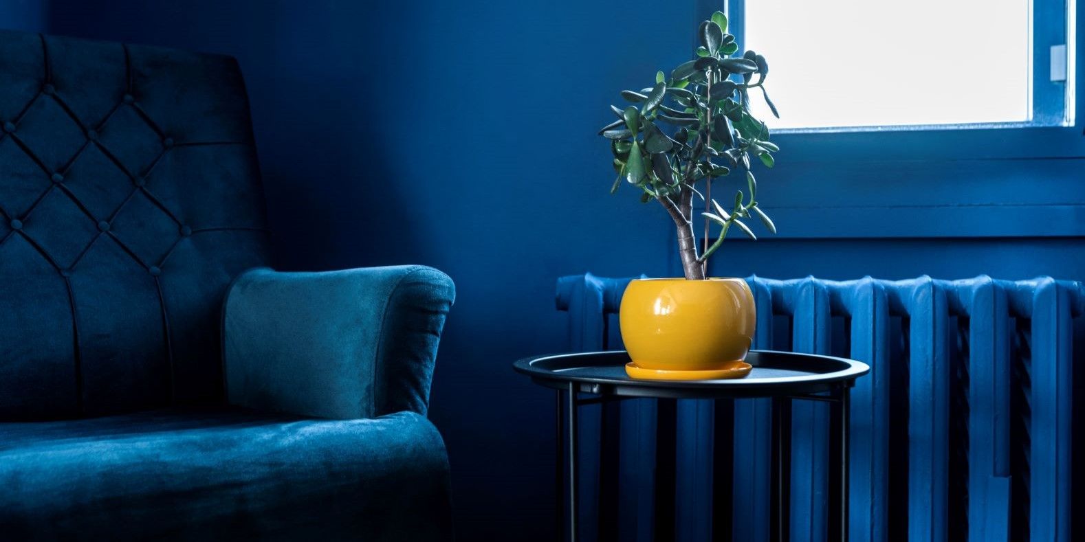 Tips for colour drenching your floors and interiors